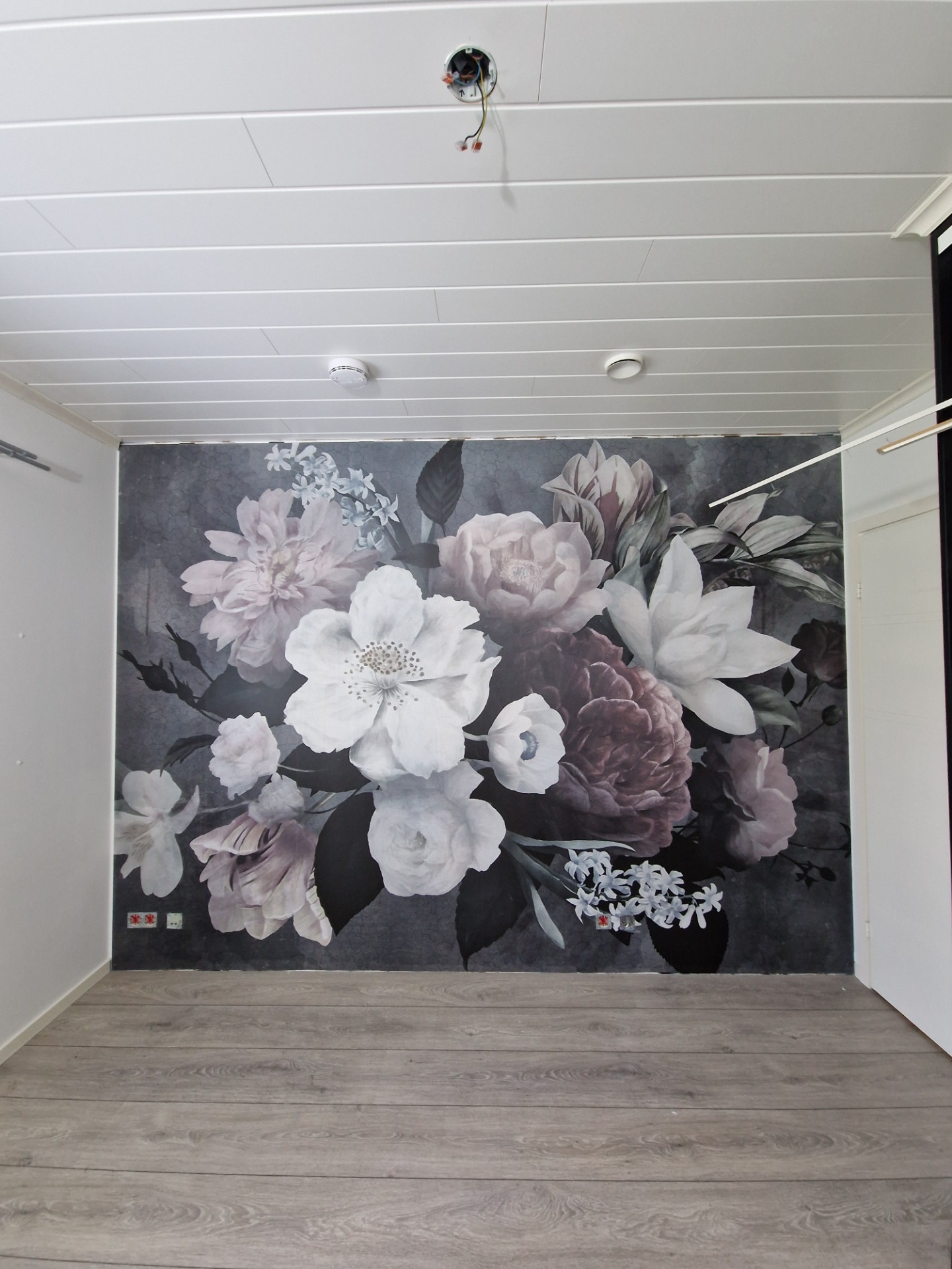 Tehosteseinä valokuvatapetilla